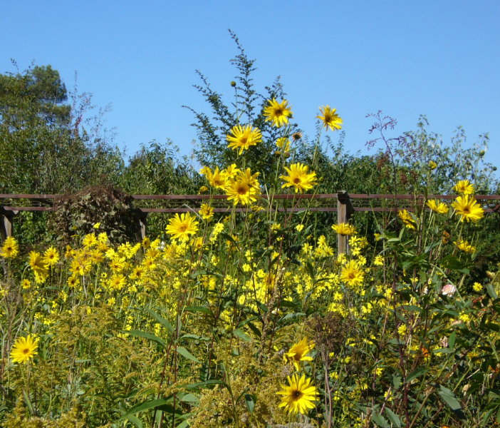 2012-09-14-P1010623
