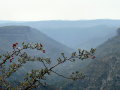 2012-09-04-P1070311