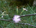 2012-09-06-P1070360