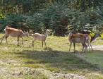 2010-09-01-P1030329