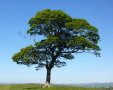 2012-05-25-P1010314