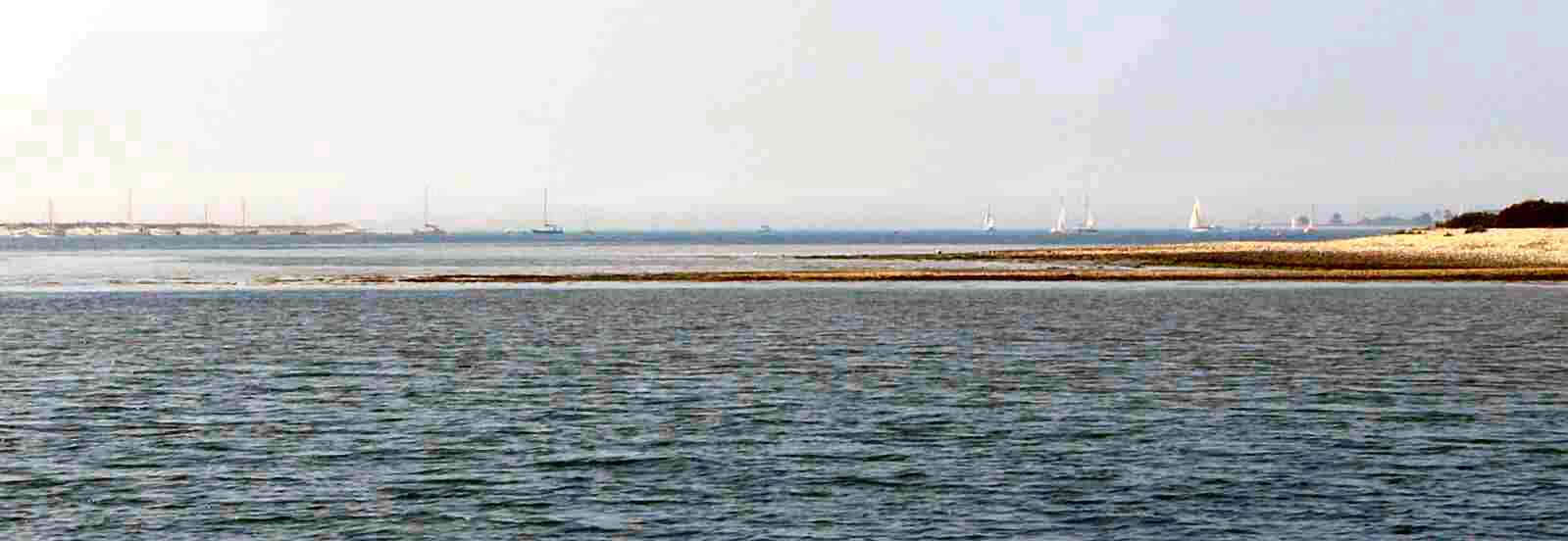 Pilsey Island looking south