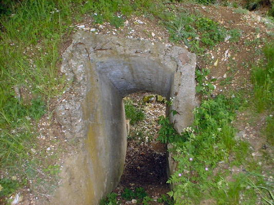 DSCF0016