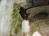 DSCF0025