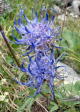 2005-07-30-DSCF0018
